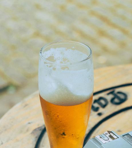 Light Beer Overview