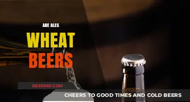 Exploring the Grainy World: Are Ales and Wheat Beers One and the Same?