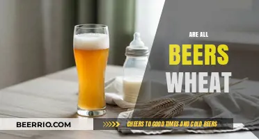 Exploring Beer Ingredients: The Truth About Wheat in Brews