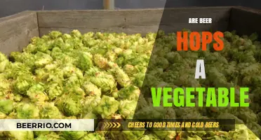 Exploring the Botanical Mystery: Are Beer Hops a Vegetable?