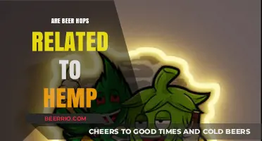 Exploring the Botanical Connection: Beer Hops and Hemp