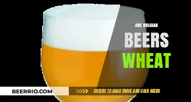 Exploring the Richness of Belgian Beers: Are They Wheat-Based?