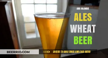 Exploring the Golden Hues: Are Blonde Ales and Wheat Beers One and the Same?