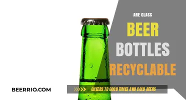 Sustainable Sips: The Truth About Recycling Glass Beer Bottles