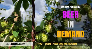 Hops in High Demand: The Essential Ingredient for Craft Beer Brewing