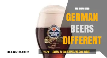 Exploring the Unique Flavors of Imported German Beers