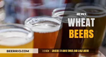 Exploring the Grains: Are IPAs and Wheat Beers Cousins?