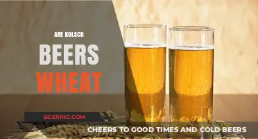 Exploring the Unique World of Kölsch Beers: Are They Wheat-Based?