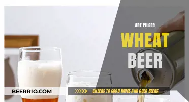Exploring the Flavorful World of Pilsner Wheat Beers