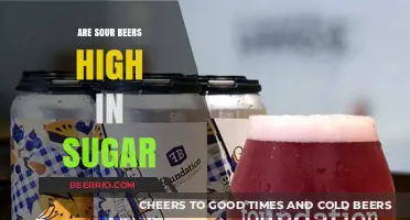 Unveiling the Truth: Sour Beers and Their Sugar Content
