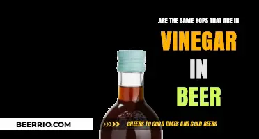 Exploring the Flavor Connection: Vinegar and Beer Hops