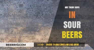 Exploring the Flavor Profile: Do Sour Beers Contain Hops?