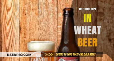 Exploring the Ingredients: Hops in Wheat Beer?