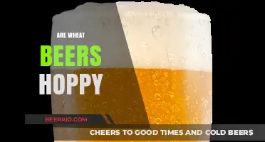 Exploring the Hoppy Horizons of Wheat Beers: A Flavorful Journey