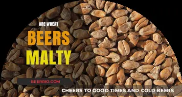 Exploring the Rich Maltiness of Wheat Beers: A Flavorful Journey
