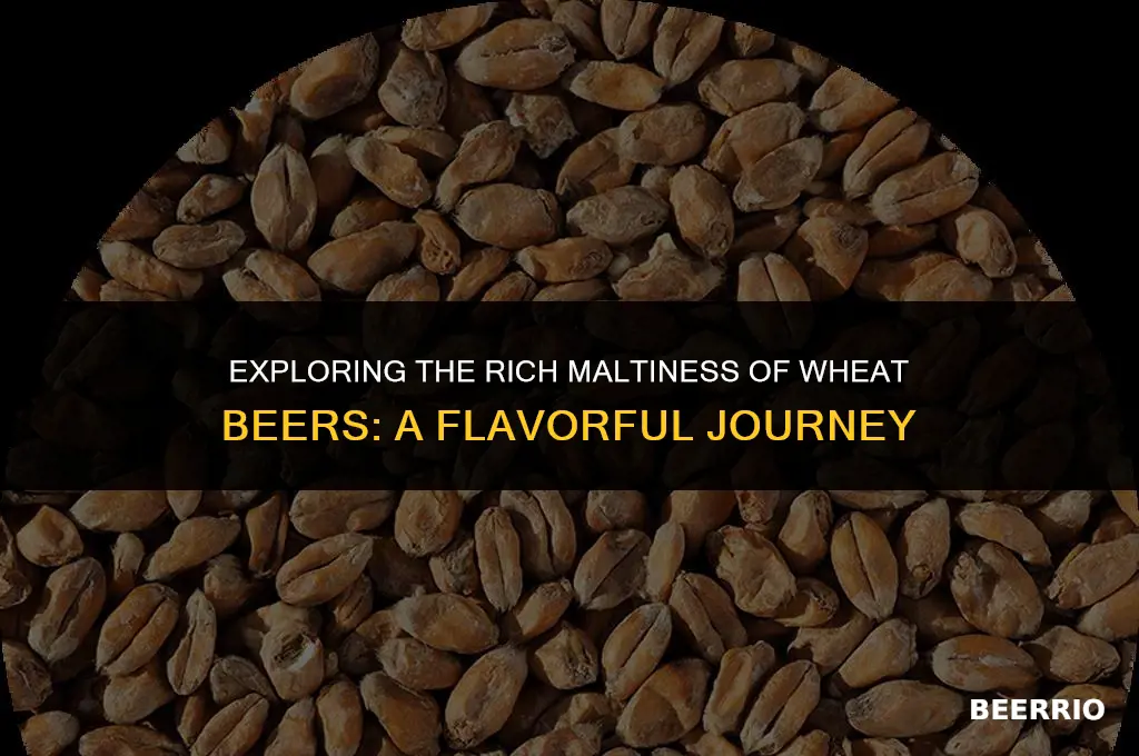 are wheat beers malty