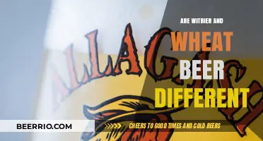 Exploring the Nuances: Witbier vs. Wheat Beer - A Flavorful Comparison