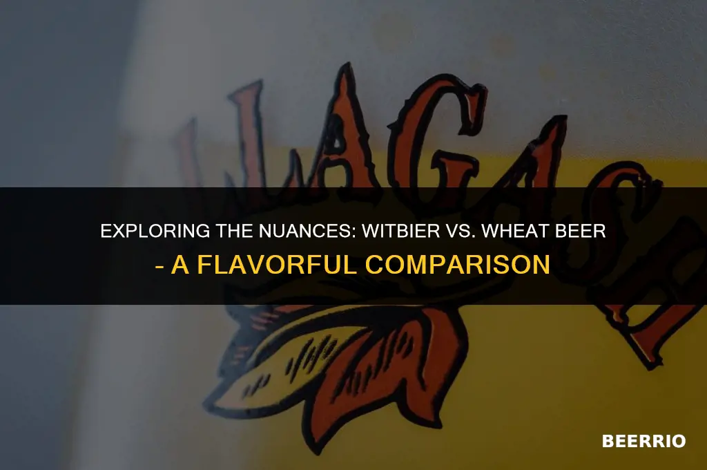 are witbier and wheat beer different