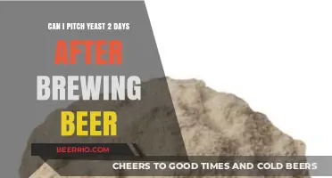 Reviving Yeast: Can You Pitch Yeast 2 Days After Brewing Beer?