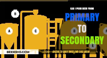 From Primary to Secondary: The Art of Beer Transfer