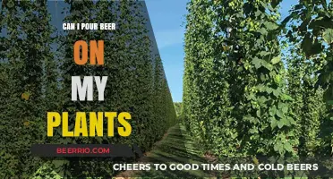 Hops for Growth: The Surprising Benefits of Beer for Your Garden