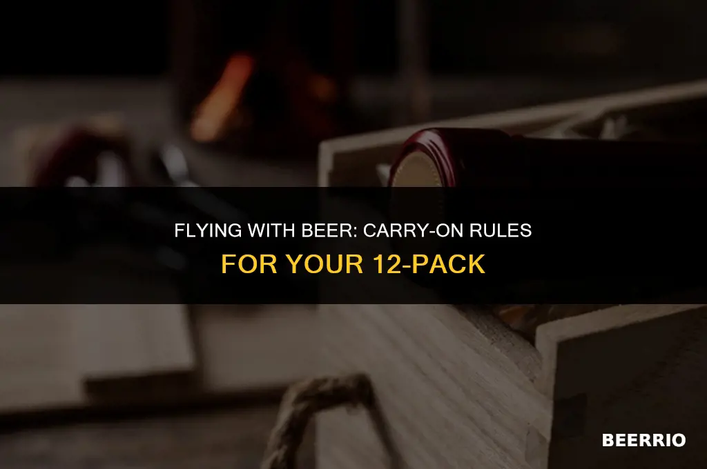 can i put 12 pack of beer on carry on