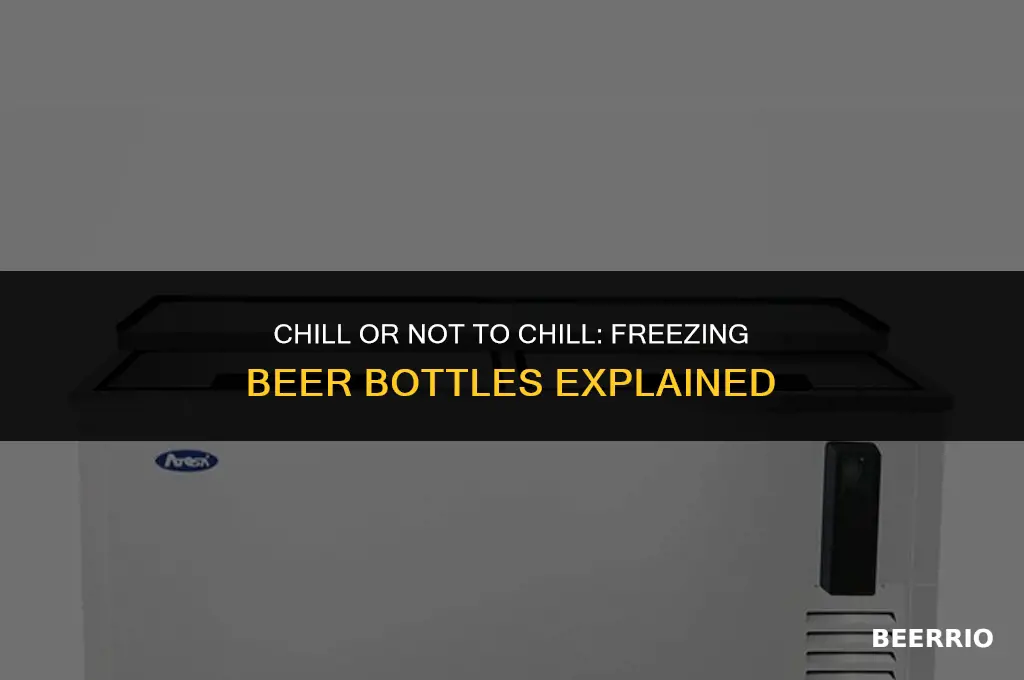 can i put a beer bottle in the freezer