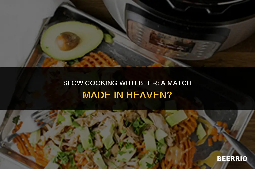 can i put a beer can a slow cooker