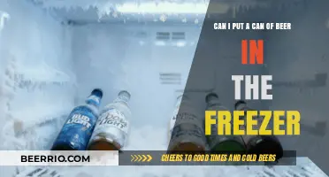 Chill or Not to Chill: Freezing Beer Explained