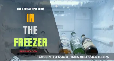 Chill or Spill: The Do's and Don'ts of Freezing Open Beer