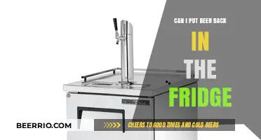 Chill Again: The Debate on Refrigerating Beer Twice