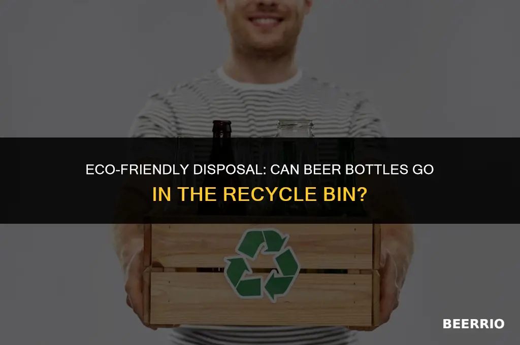 can i put beer bottles in the recycle bin