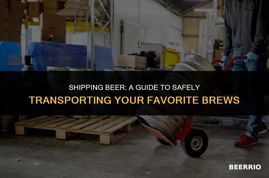can i put beer in a box and ship it
