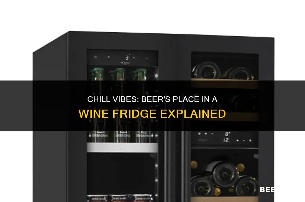 can i put beer in a wine fridge