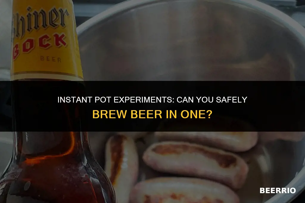 can i put beer in an instant pot