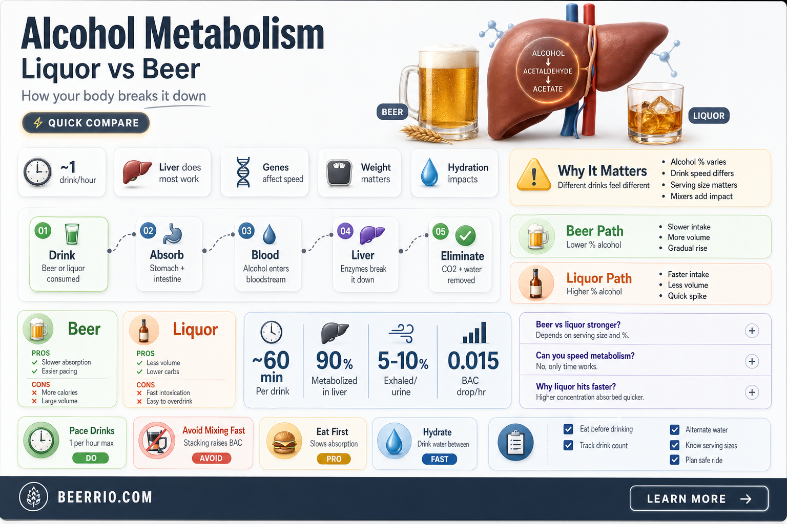 what gets out of your system faster liquor or beer