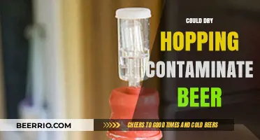 Exploring the Risks: Could Dry Hopping Contaminate Your Beer?