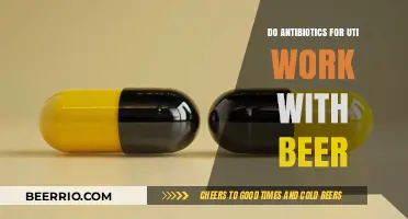 Exploring the Compatibility of Antibiotics and Beer for UTI Treatment