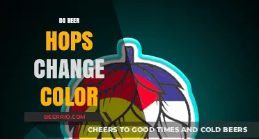 The Colorful World of Beer Hops: A Brewer's Guide