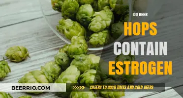Exploring the Estrogen Content in Beer Hops: Facts and Myths