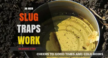 The Truth About Beer Slug Traps: A Gardener's Guide