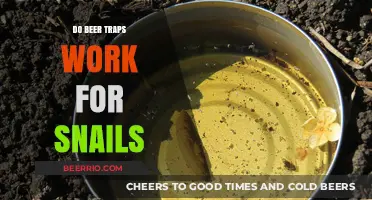 Snail Control: The Effectiveness of Beer Traps Revealed