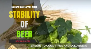 Exploring the Role of Hops in Enhancing Beer's Shelf Life
