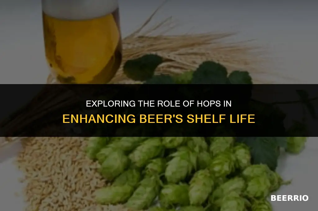 do hops increase the shelf stability of beer