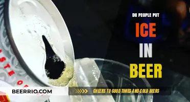 Chilled Debates: The Great Ice in Beer Controversy