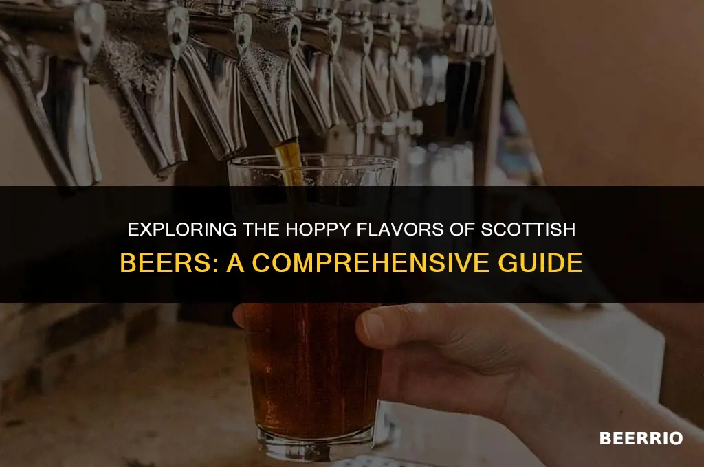 do scottish beers have more hops