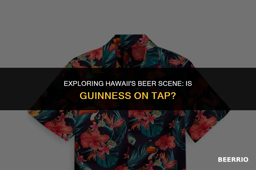 do they have guinness beer in hawaii