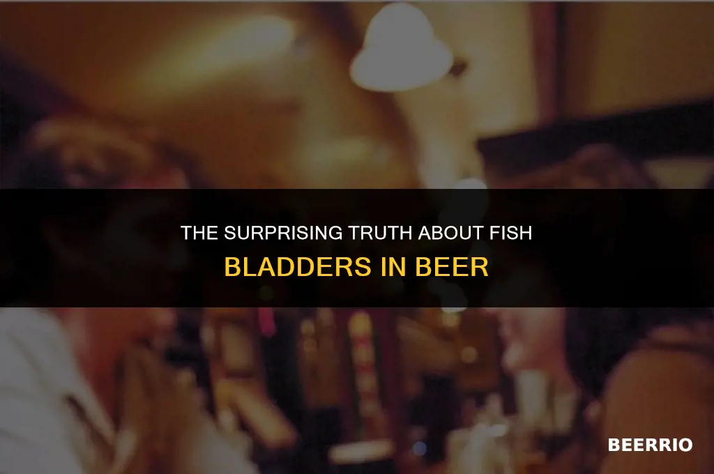 do they put fish bladder in beer
