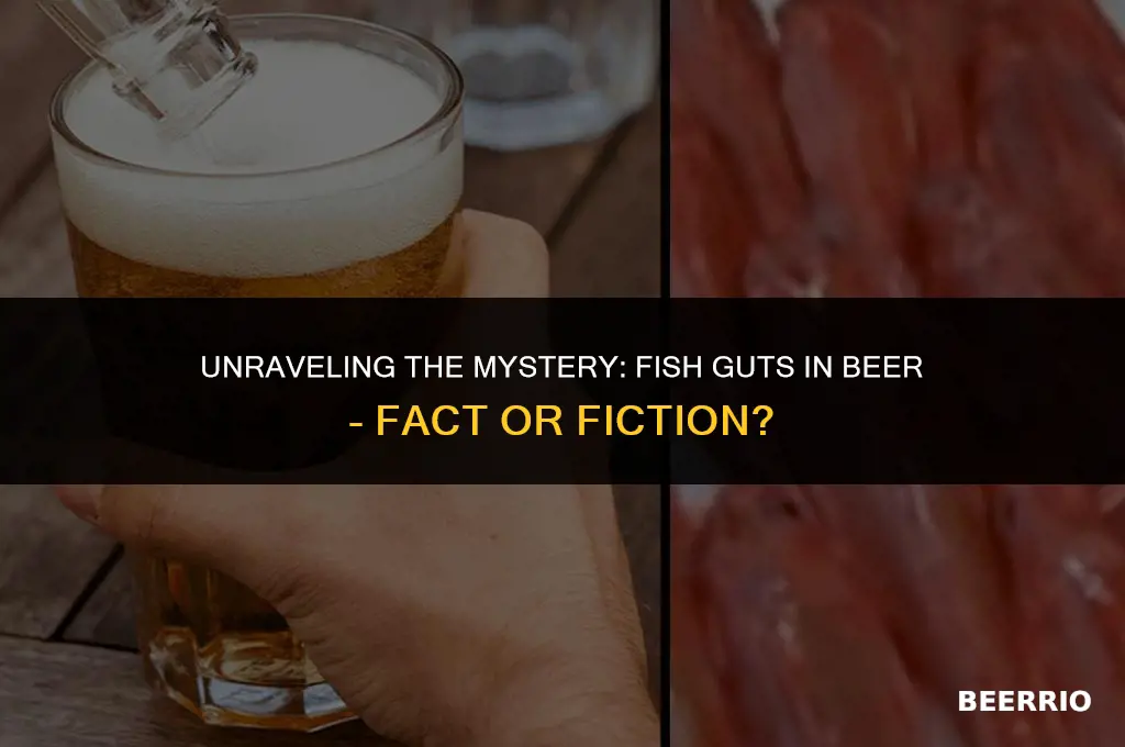 do they put fish guts in beer
