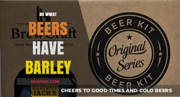 Exploring the Ingredients: Do Wheat Beers Really Contain Barley?